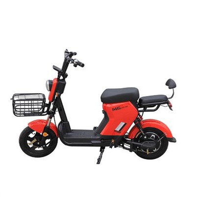 Elektrinis dviratis 48V variklis 350W-500W